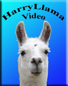 HarryLlama Video