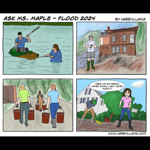 Flood 2024