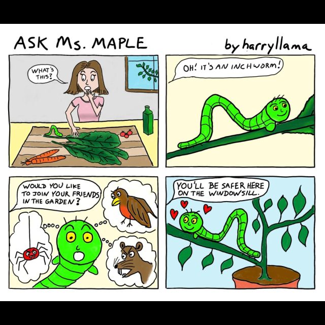 Inchworm