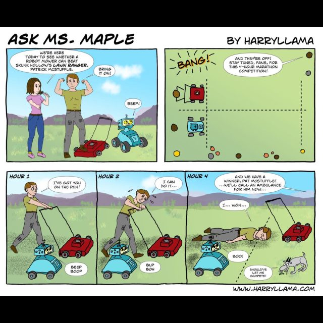The Lawn Ranger vs. the Robot