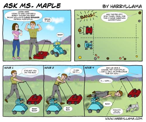 The Lawn Ranger vs. the Robot