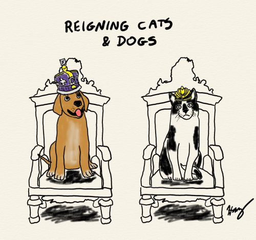 Reigning Cats and Dogs