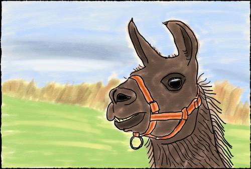 Llama
